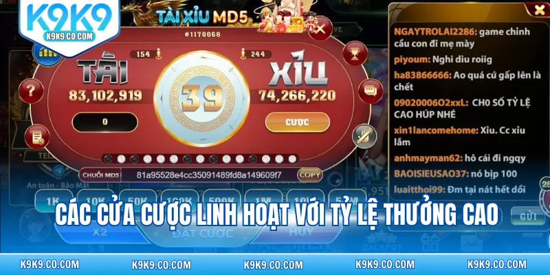 Các cửa cược linh hoạt với tỷ lệ thưởng cao