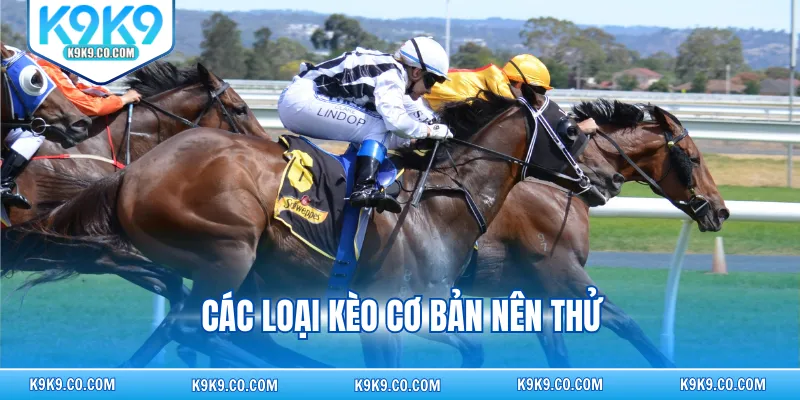 Các loại kèo cơ bản nên thử