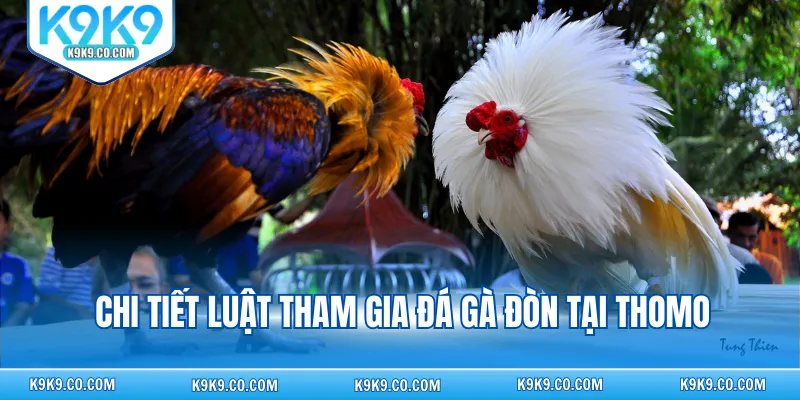 Chi tiết luật tham gia đá gà đòn tại Thomo
