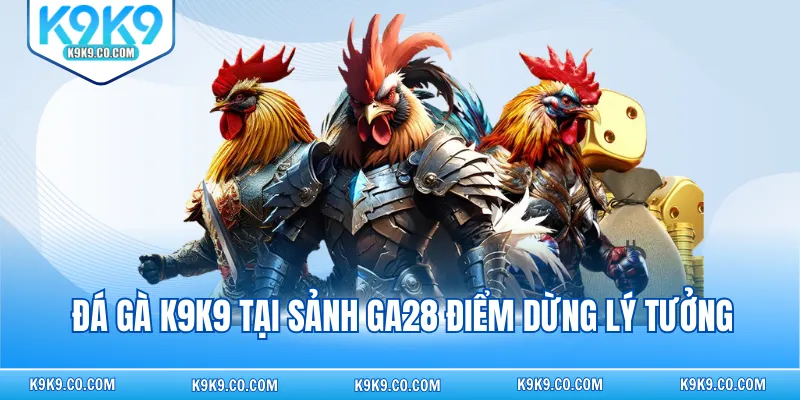 Đá gà K9K9 tại sảnh GA28 điểm dừng lý tưởng