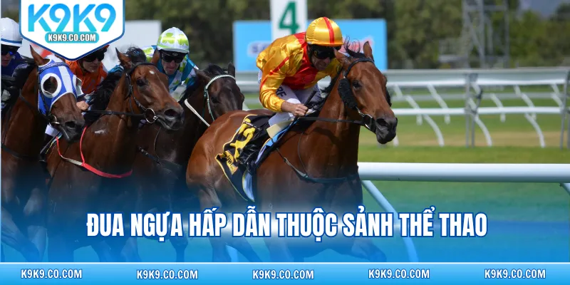 Đua ngựa hấp dẫn thuộc sảnh thể thao