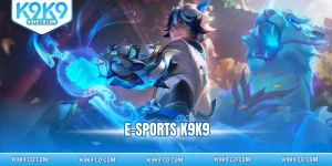 E-sports K9K9
