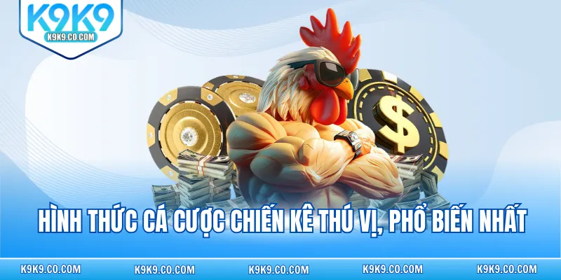 Hình thức cá cược chiến kê thú vị, phổ biến nhất