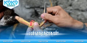 luật đá gà cựa sắt