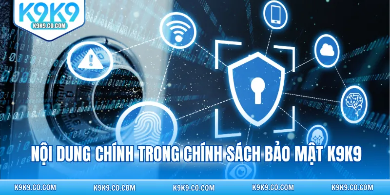 Nội dung chính trong chính sách bảo mật K9K9