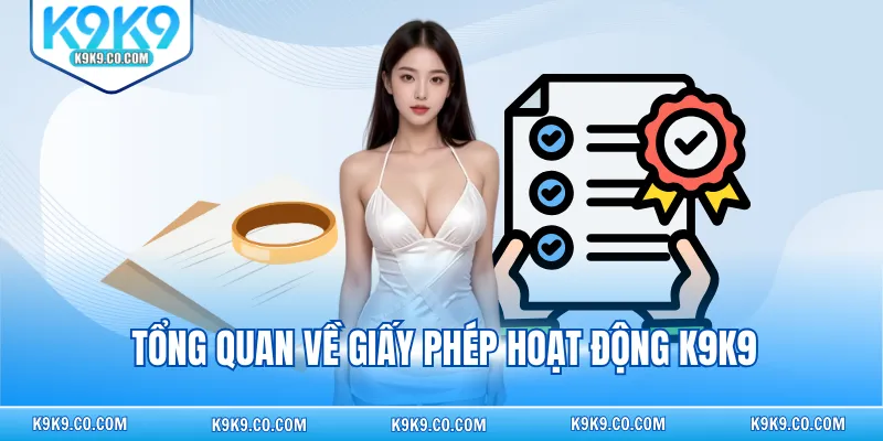 Tổng quan về giấy phép hoạt động K9K9