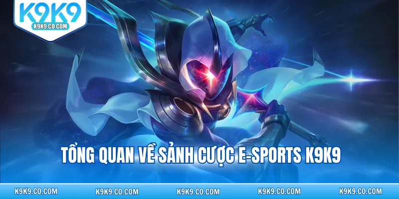 Tổng quan về sảnh cược e-sports K9K9
